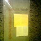 Digging the Past - Archaeological Finds